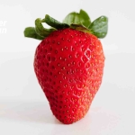 Gıda İntoleransı (Besin Duyarlılığı) Testi